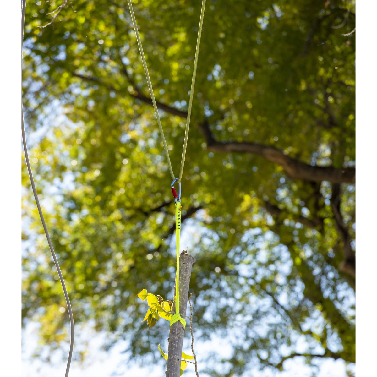 Weavor Arborist Speedline Kit