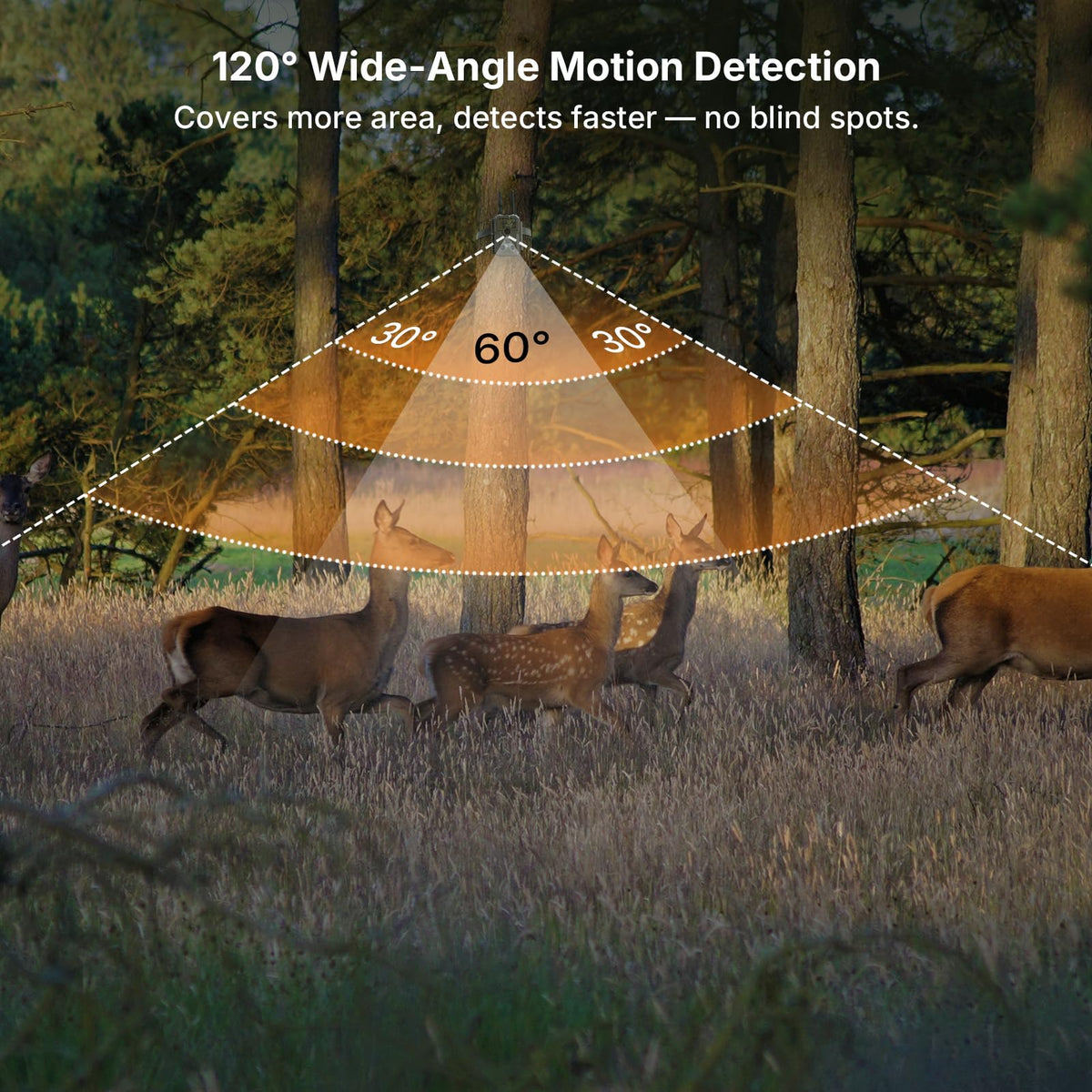 GardePro E8 2.0 WiFi Trail Camera (Non-Cellular) with 5200mAh Battery Solar Panel, 4K Video & 64MP Photo, 64GB SD Card, Dual Antennas, Stable Connection, On-Site App Viewing, Motion Activiated
