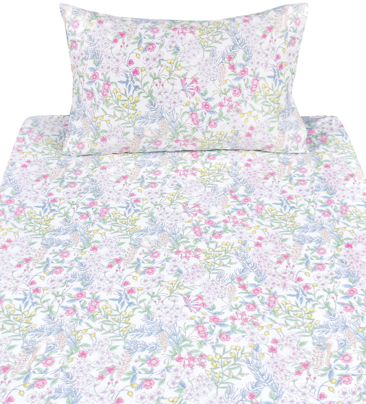 Scientific Sleep Vine Flower Plants Leaves Wild Fruit Bird Vintage Floral 100% Cotton Bed Sheet Set Kids Girls Teen, Flat Sheet & Fitted Sheet & Pillowcase Bedding Set (Botanic Garden, Twin)