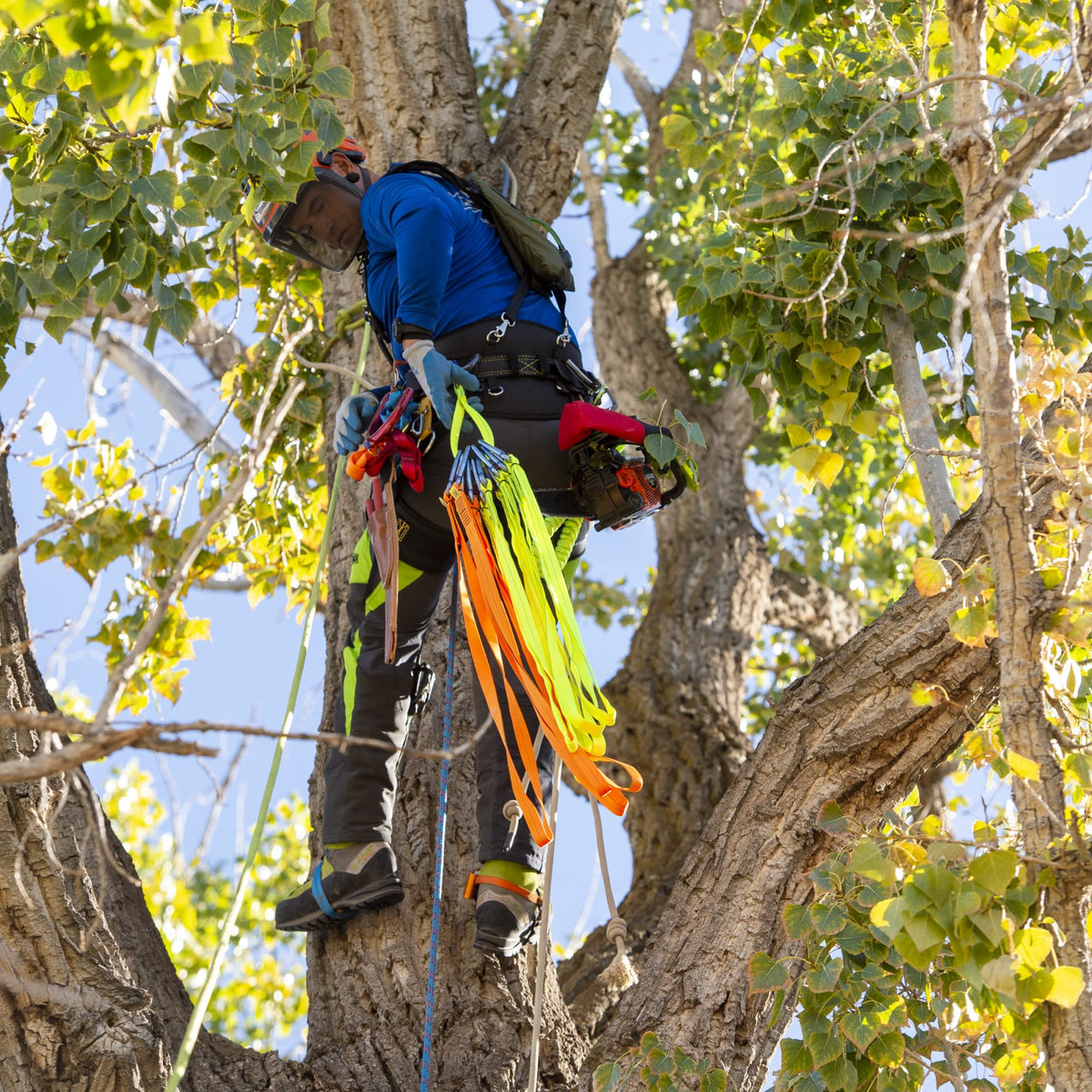 Weavor Arborist Speedline Kit
