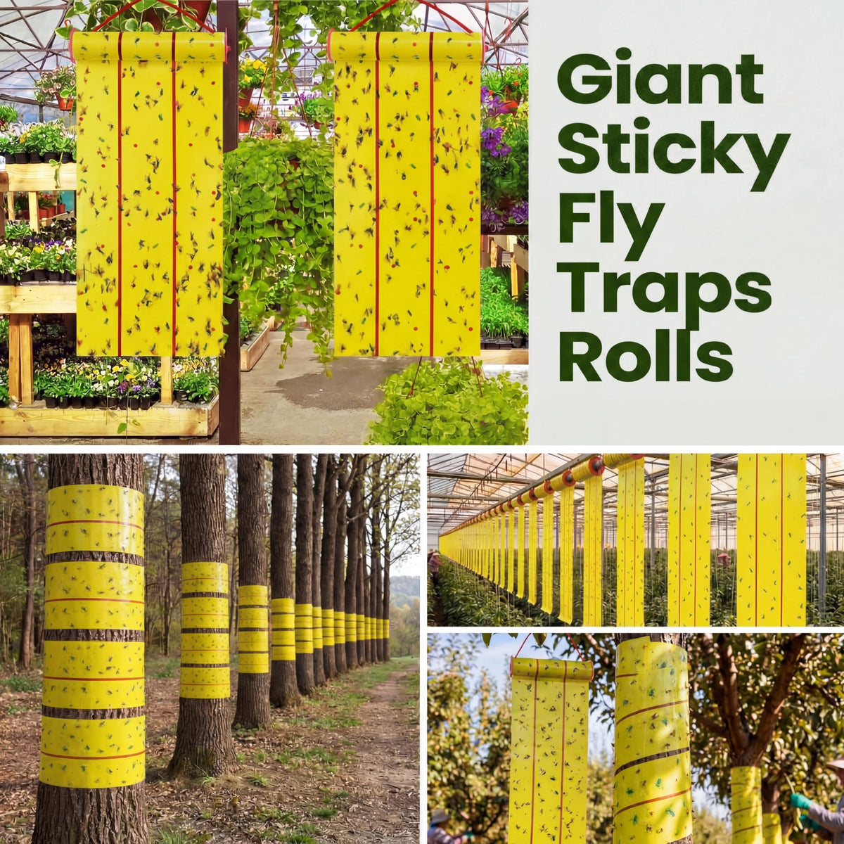 Qualirey Giant Sticky Fly Traps, Fly Strips for Indoor Outdoor Hanging Flying Tapes Non Toxic Ribbon Fruit Gnat Killer for Mosquito Plants House Horse Stable(442.95ft,Yellow,15 Pcs)