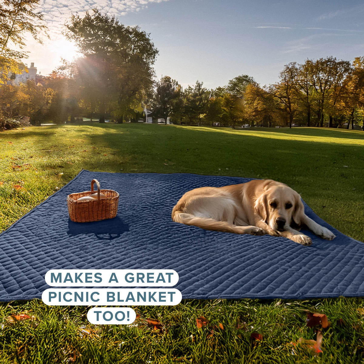 Bare Home Coverlet Set - Full/Queen - Lightweight Bed Decor - Comforter Alternative - All-Season Quilted Bedspread (Full/Queen, Dark Blue)